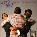 Vorderseite der 1985.09 Trio 12" LP Whats the password (DE: Mercury 824 695-1)